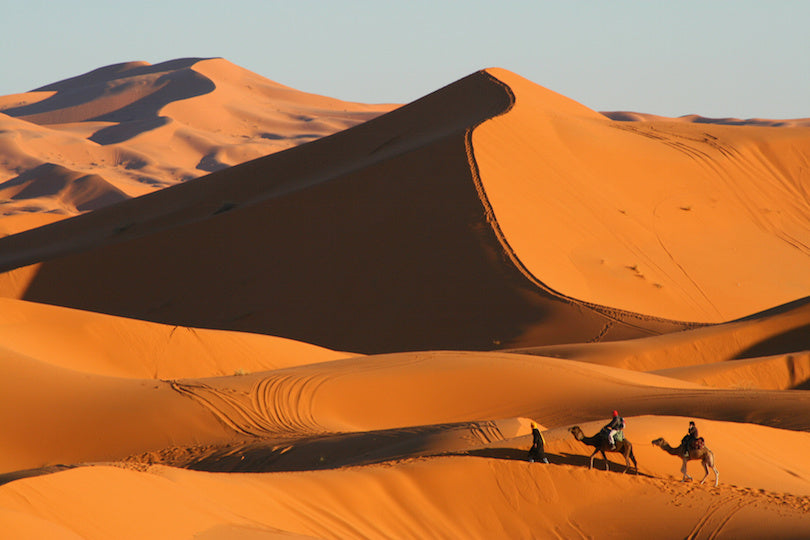 Desert collection