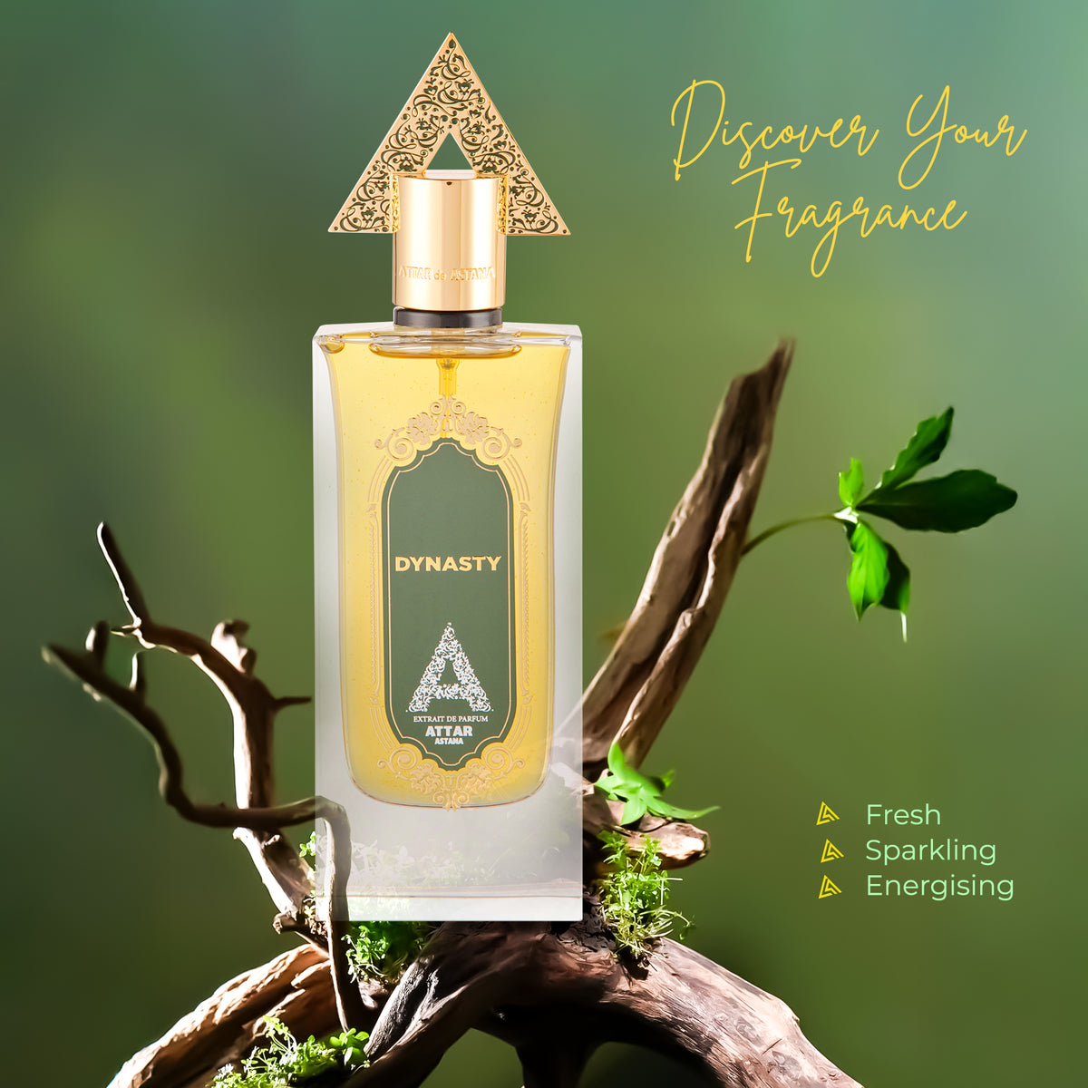 Dynasty 75 ML EDP by Attar de Astana