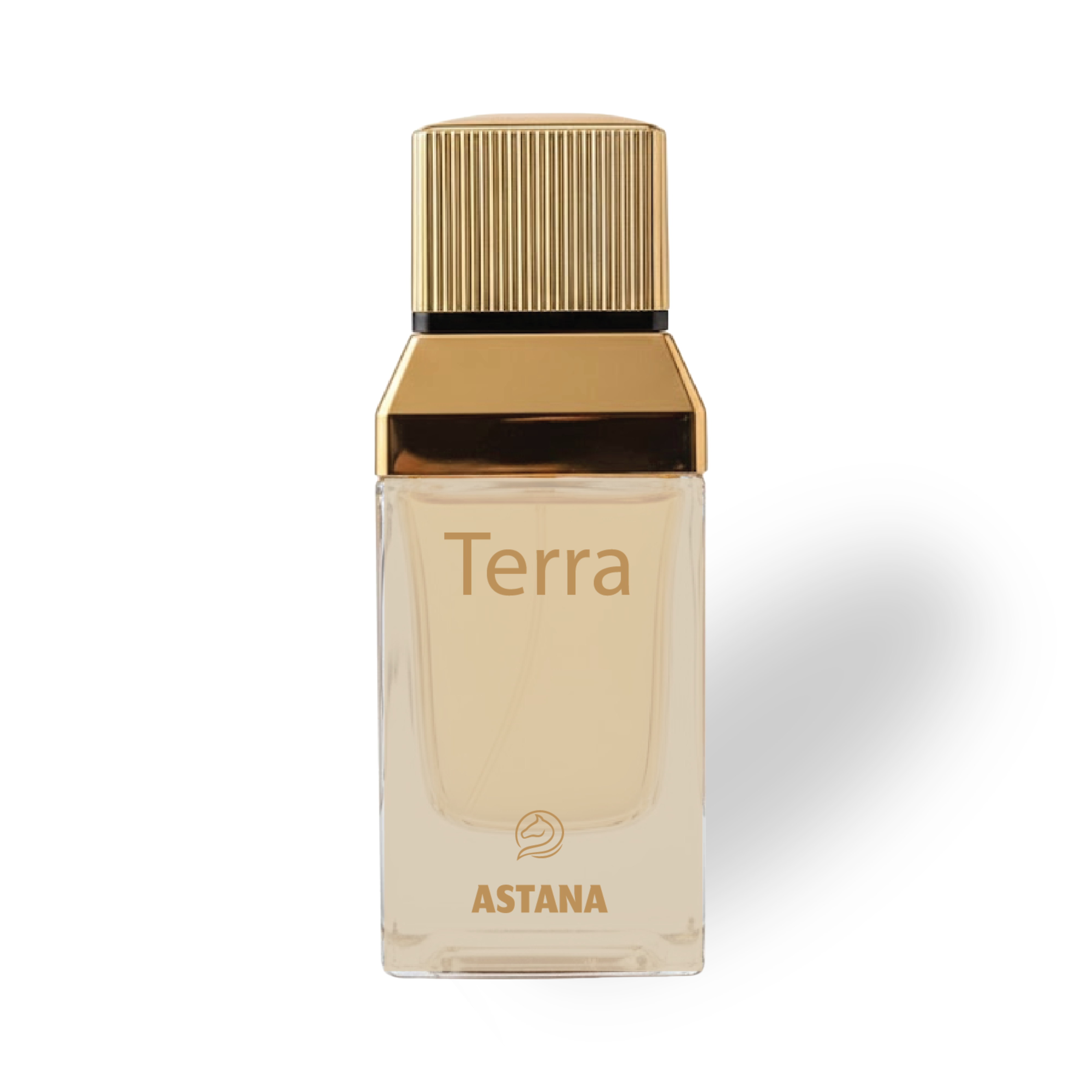 Terra 100 ML EDP by Astana