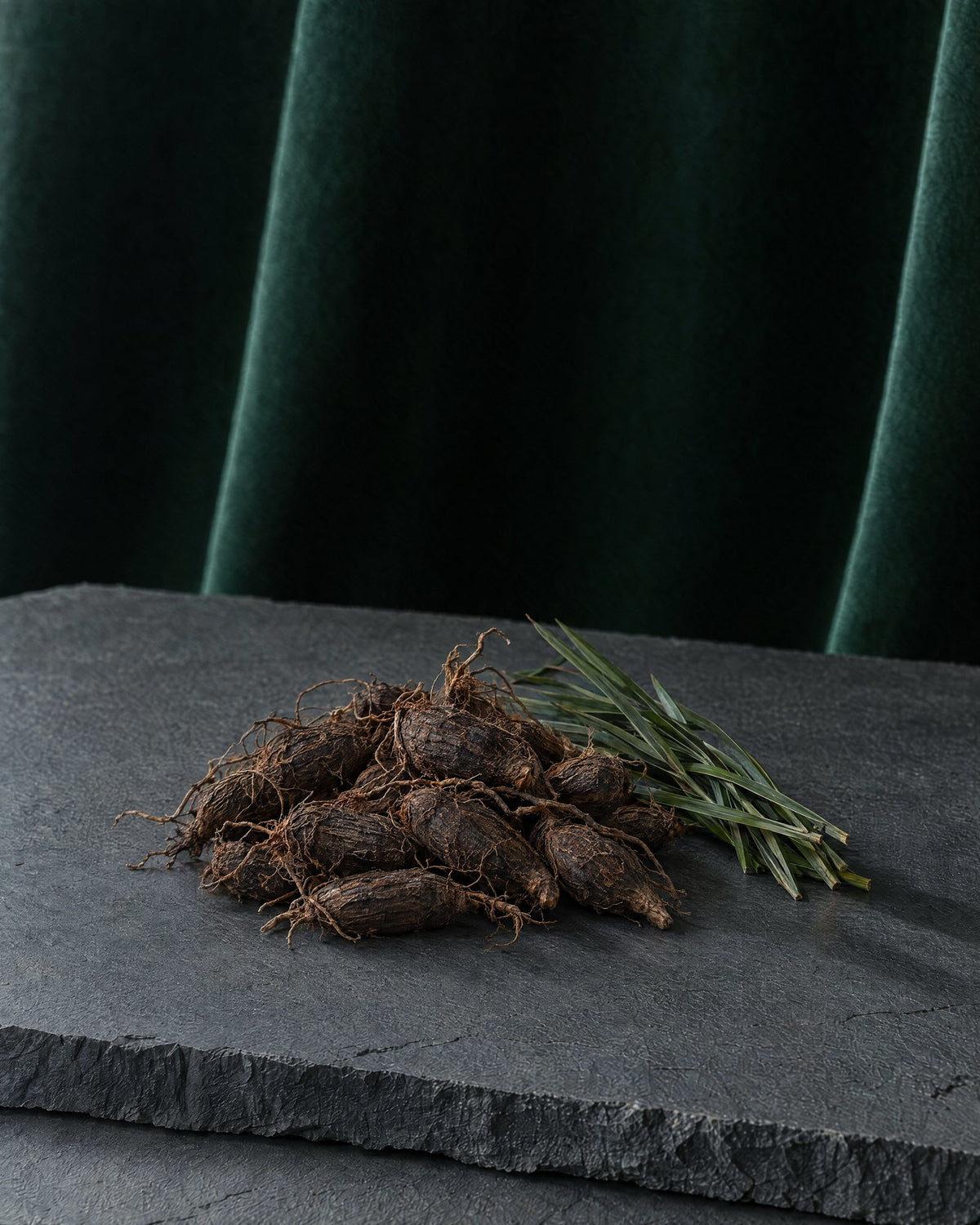 Small dark fibrous nagarmotha tubers on their roots beside a few narrow leaves on a slab of slate, deep green velvet behind